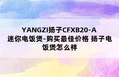 YANGZI扬子CFXB20-A迷你电饭煲-购买最佳价格 扬子电饭煲怎么样